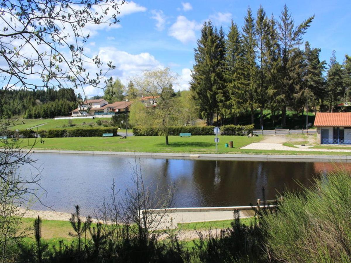 Gîte Usson-en-Forez, 3 pièces, 4 personnes - FR-1-496-163 Esterno foto