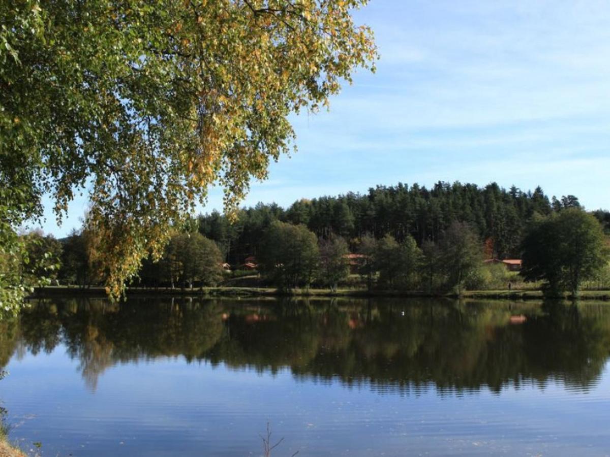 Gîte Usson-en-Forez, 3 pièces, 4 personnes - FR-1-496-163 Esterno foto